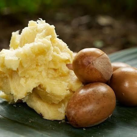 What are the benefits of Shea Butter? - Beautizone UK