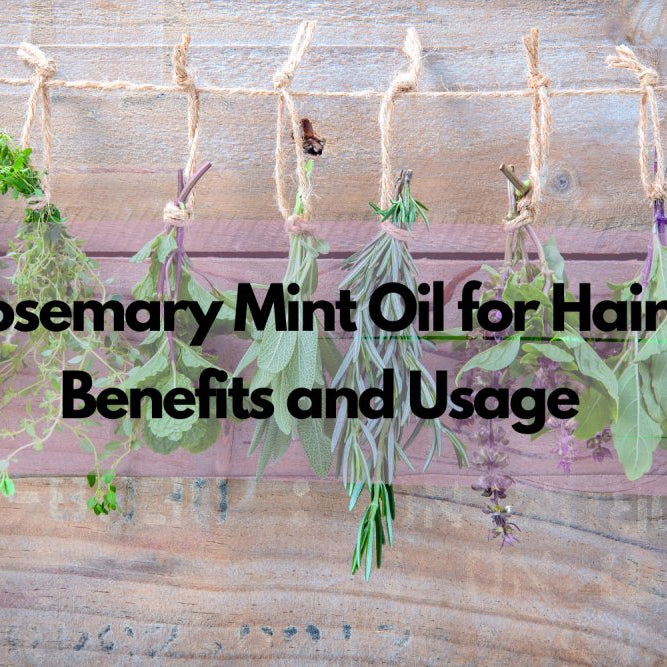 Rosemary Mint Oil for Hair: Benefits and Usage - Beautizone UK