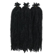 Outre_XPression_Twisted_Up_Springy_Afro_Twist_16_1