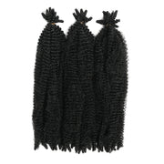 Outre_XPression_Twisted_Up_Springy_Afro_Twist_16_1B