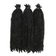 Outre_XPression_Twisted_Up_Springy_Afro_Twist_16_2
