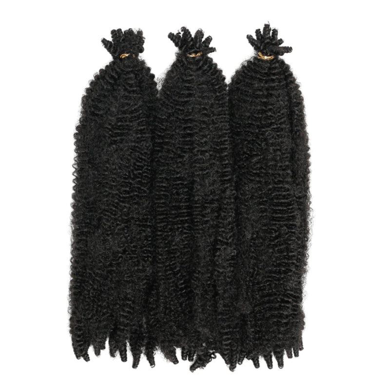Outre_XPression_Twisted_Up_Springy_Afro_Twist_16_2