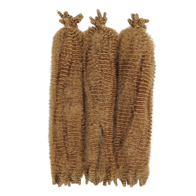 Outre_XPression_Twisted_Up_Springy_Afro_Twist_16_27