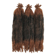 Outre_XPression_Twisted_Up_Springy_Afro_Twist_16_2T1B/3