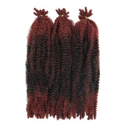 Outre_XPression_Twisted_Up_Springy_Afro_Twist_16_2T1B/350