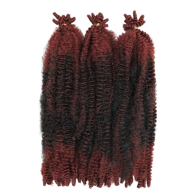 Outre_XPression_Twisted_Up_Springy_Afro_Twist_16_2T1B/350