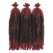 Outre_XPression_Twisted_Up_Springy_Afro_Twist_16_2T1B/425
