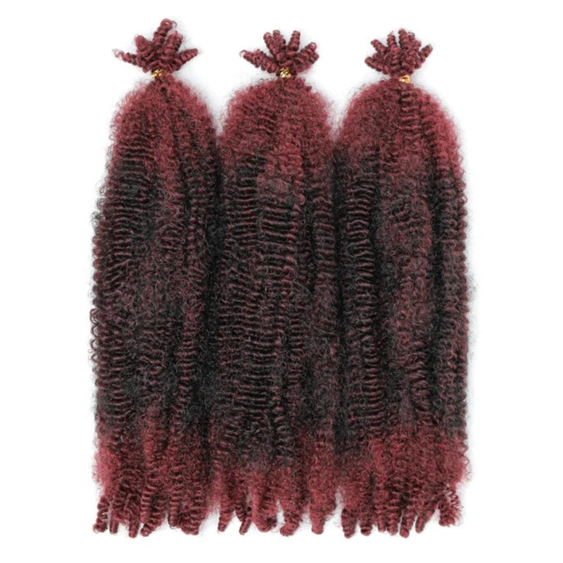 Outre_XPression_Twisted_Up_Springy_Afro_Twist_16_2T1B/425