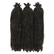 Outre_XPression_Twisted_Up_Springy_Afro_Twist_16_4