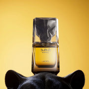 Lattafa Fahad Eau De Parfum 80ml, Lattafa, Beautizone UK