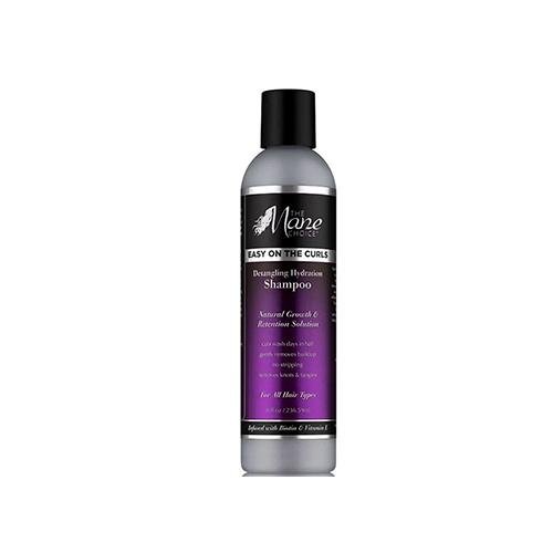 The Mane Choice Easy On The Curls Detangling Hydration Shampoo 8oz, Mane Choice, Beautizone UK