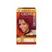 Creme of Nature Exotic Shine Permanent Hair Color (7.6 Intensive Red), Creme of Nature, Beautizone UK